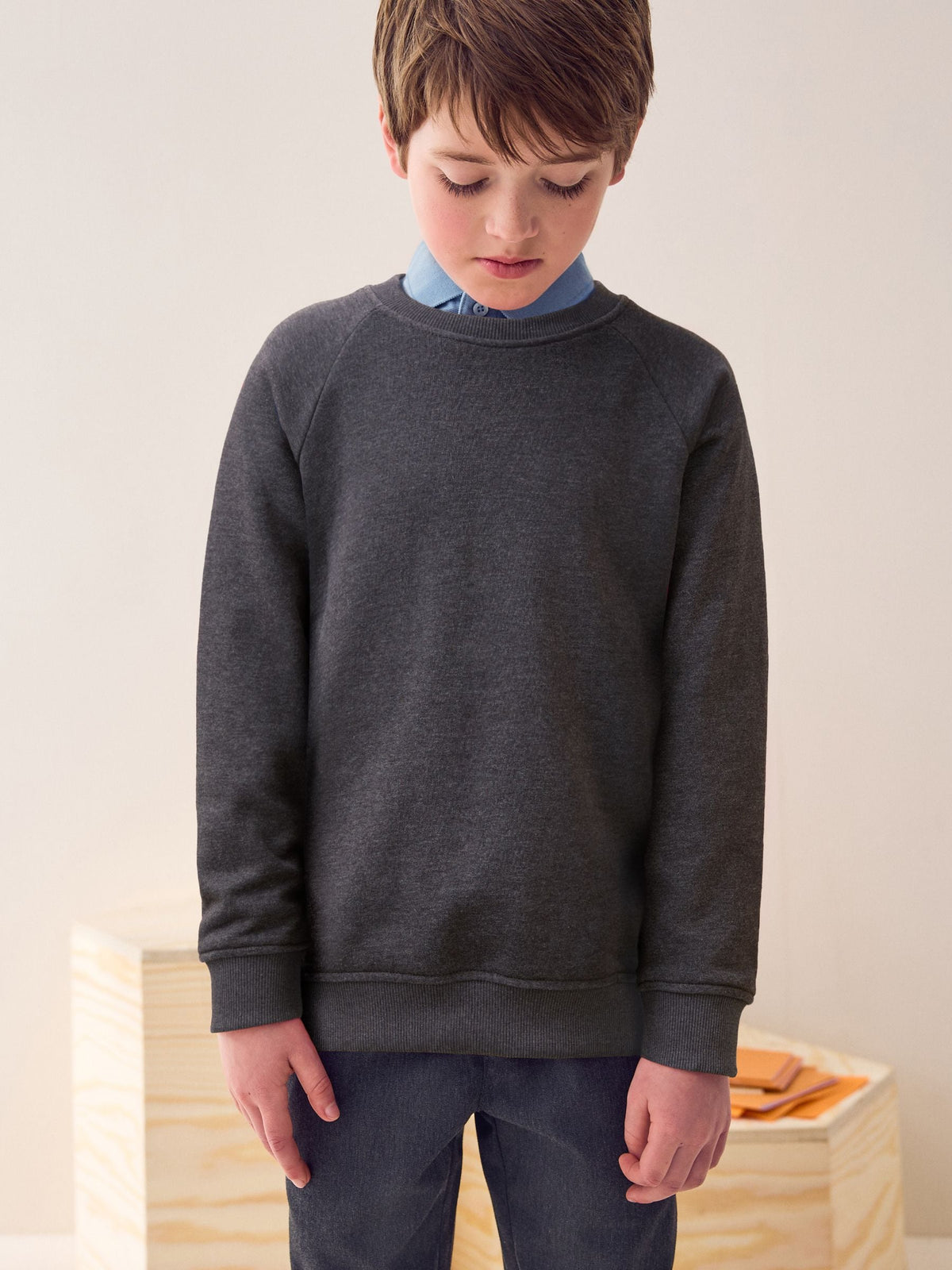 Charcoal Crew Neck School Sweater (3-17yrs)