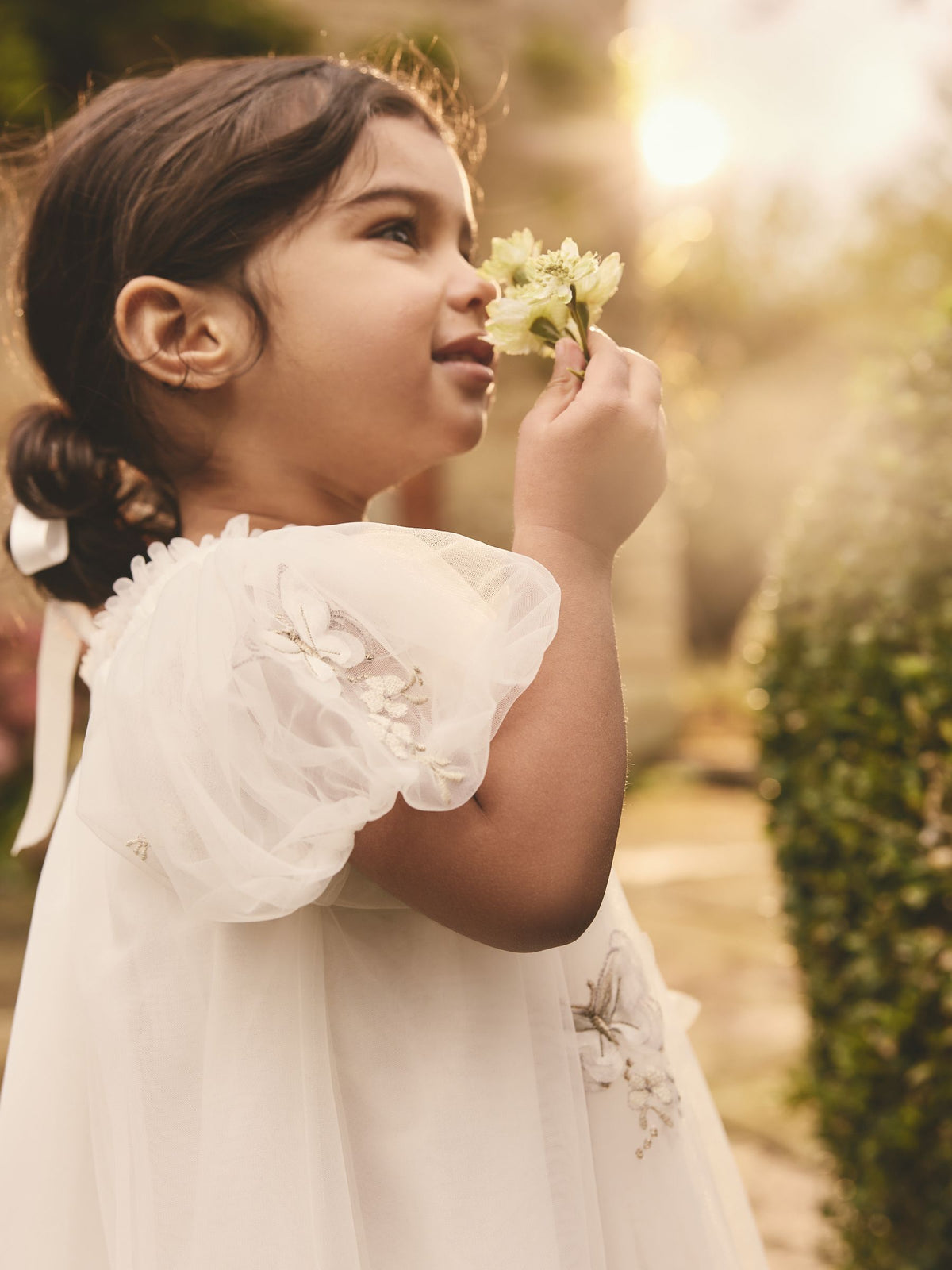 Ivory Butterfly Mesh Dress (3mths-8yrs)
