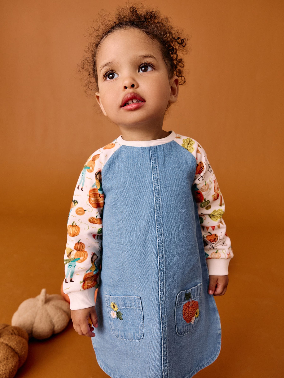 Pumpkin Print Raglan Denim Dress (3mths-8yrs)