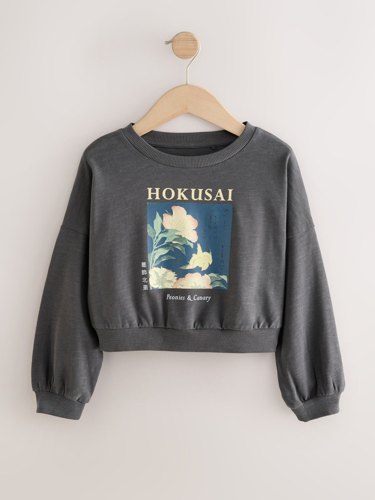 Charcoal Grey Hokusai License Long Sleeve 100% Cotton Sweat Top (3-16yrs)