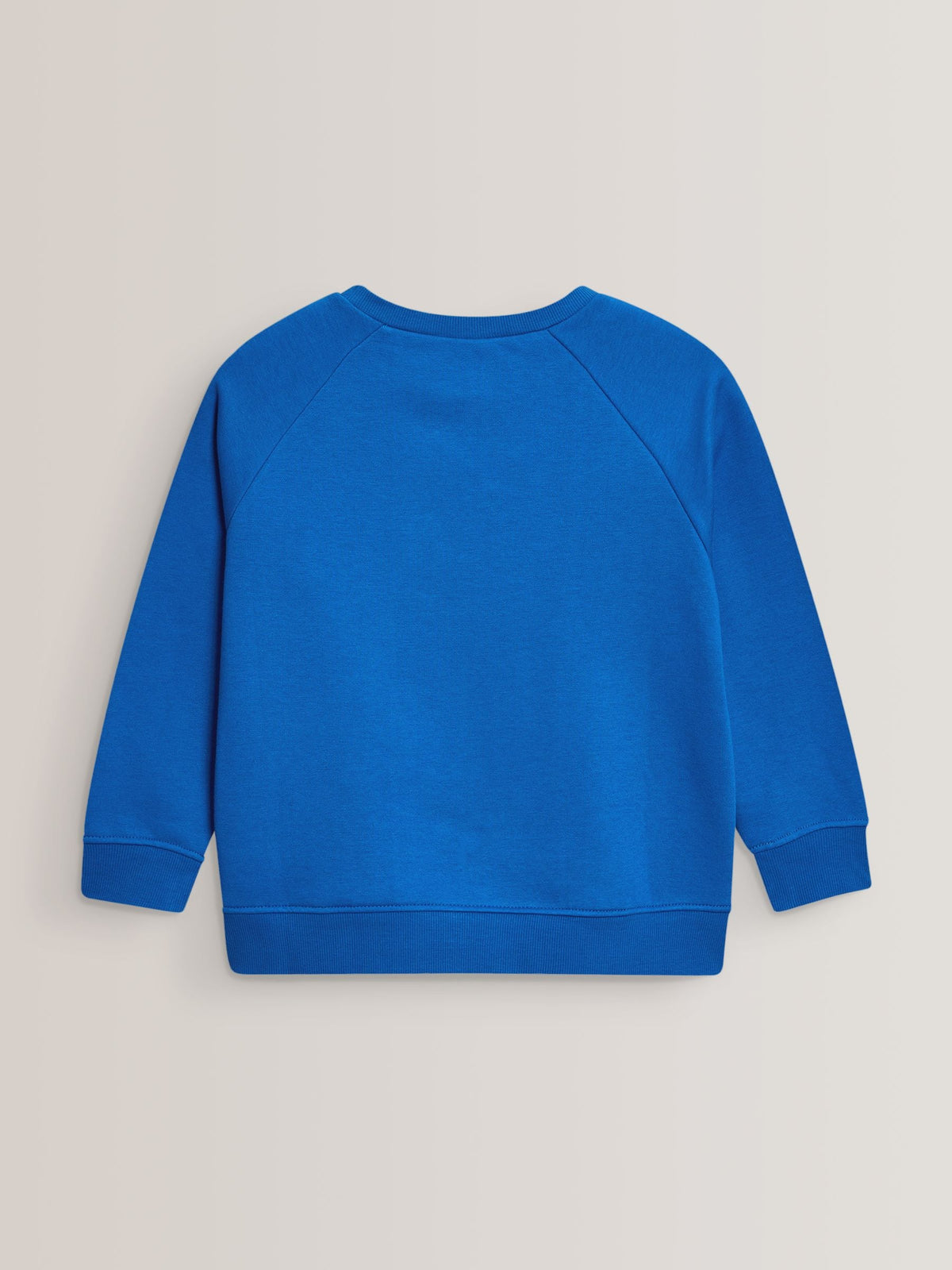 Blue Crew Neck School Sweater (3-17yrs)