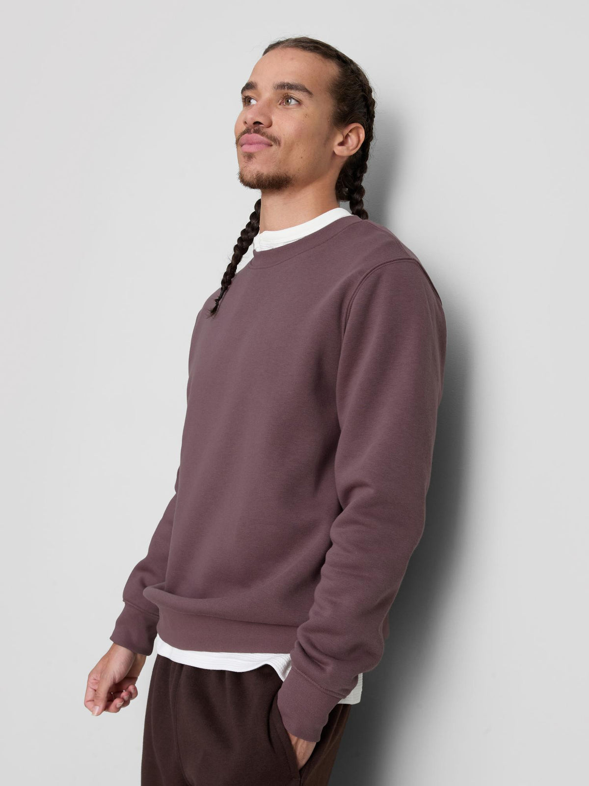 Regular Fit Sweatshirt - Plum