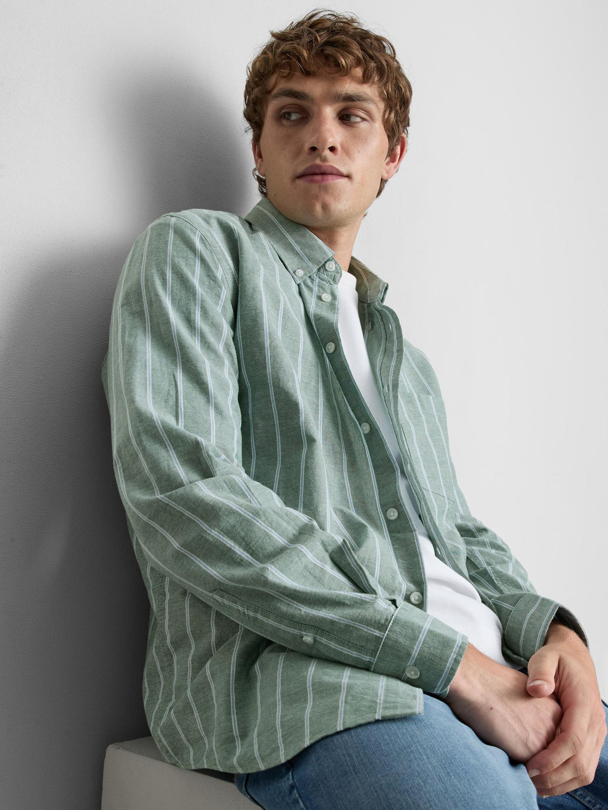 Pure Cotton Striped Oxford Shirt - Green