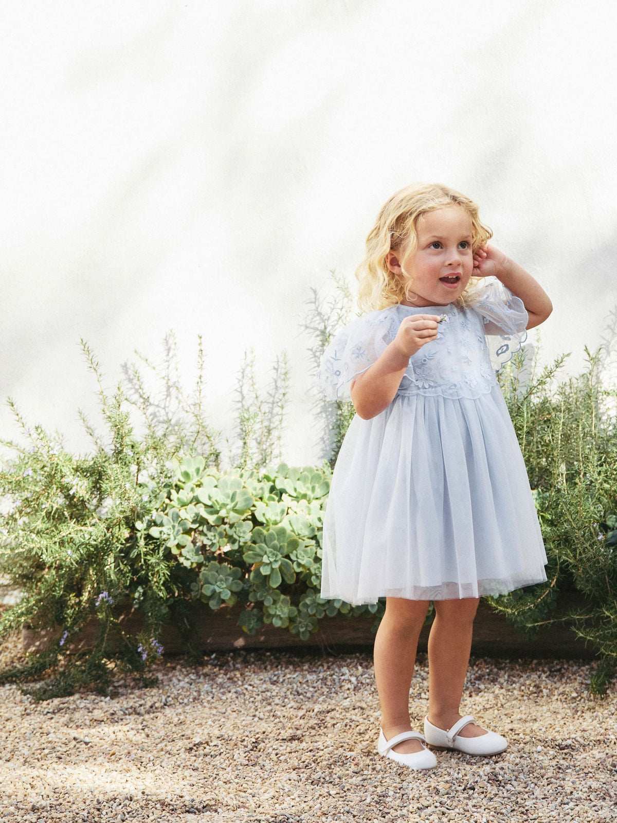 Pale Blue Embroidered Mesh Dress (3mths-8yrs)