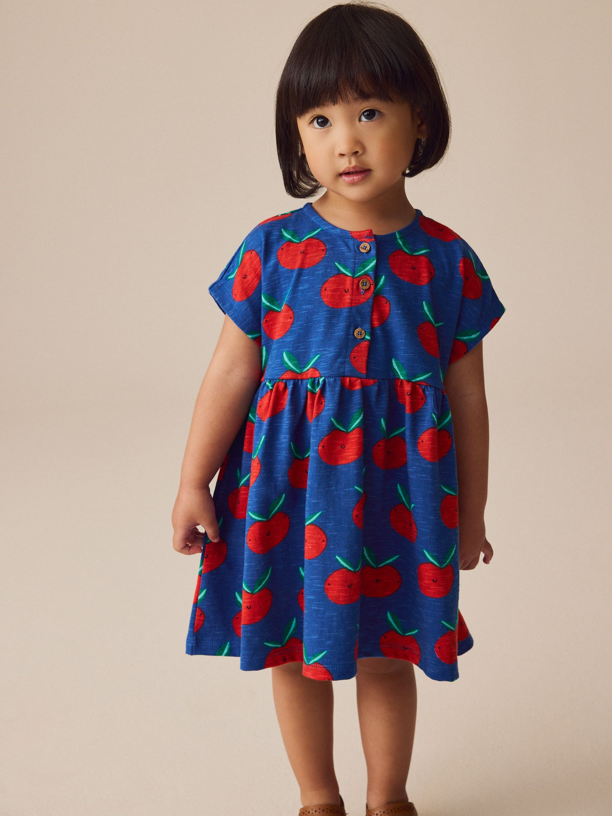 Blue Tomato Print Short Sleeve Jersey Summer Dress (3mths-7yrs)